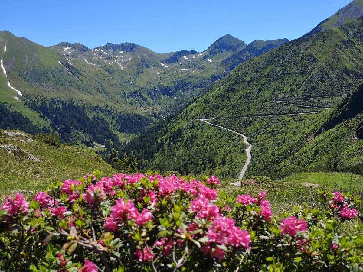 Appartement Alpenglueck Айх Экстерьер фото